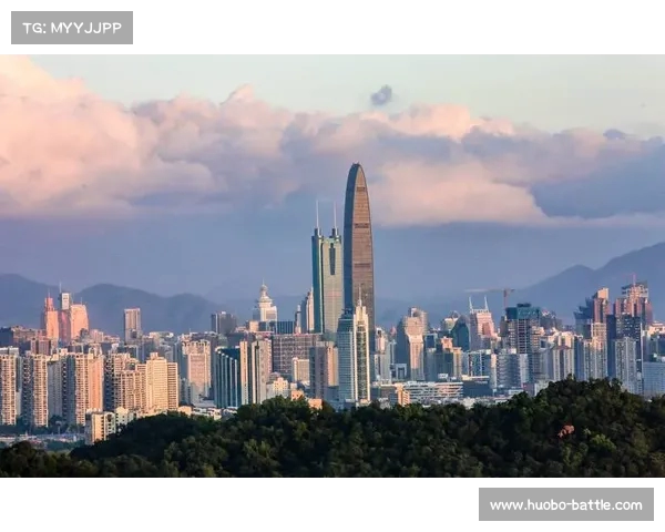 不一样的深圳:探讨城市繁华背后的区域分化现象(深圳繁荣区域) 不一样的深圳:探讨城市繁华背后的区域分化现象(深圳繁荣区域)